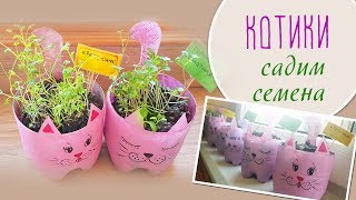 DIY ОГОРОД на подоконнике. Делаем горшочки и садим семена.//из пластиковой бутылки