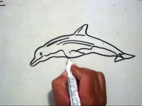  Cara Menggambar Lumba lumba How to Draw a Dolphin YouTube