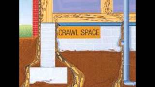 Termites Spring Hill, TN Reeves Pest Control 615-290-2228