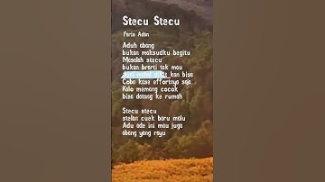 Lirik Stecu-stecu. Faris Adam #stecu #lagu #lirik #fyp #viral
