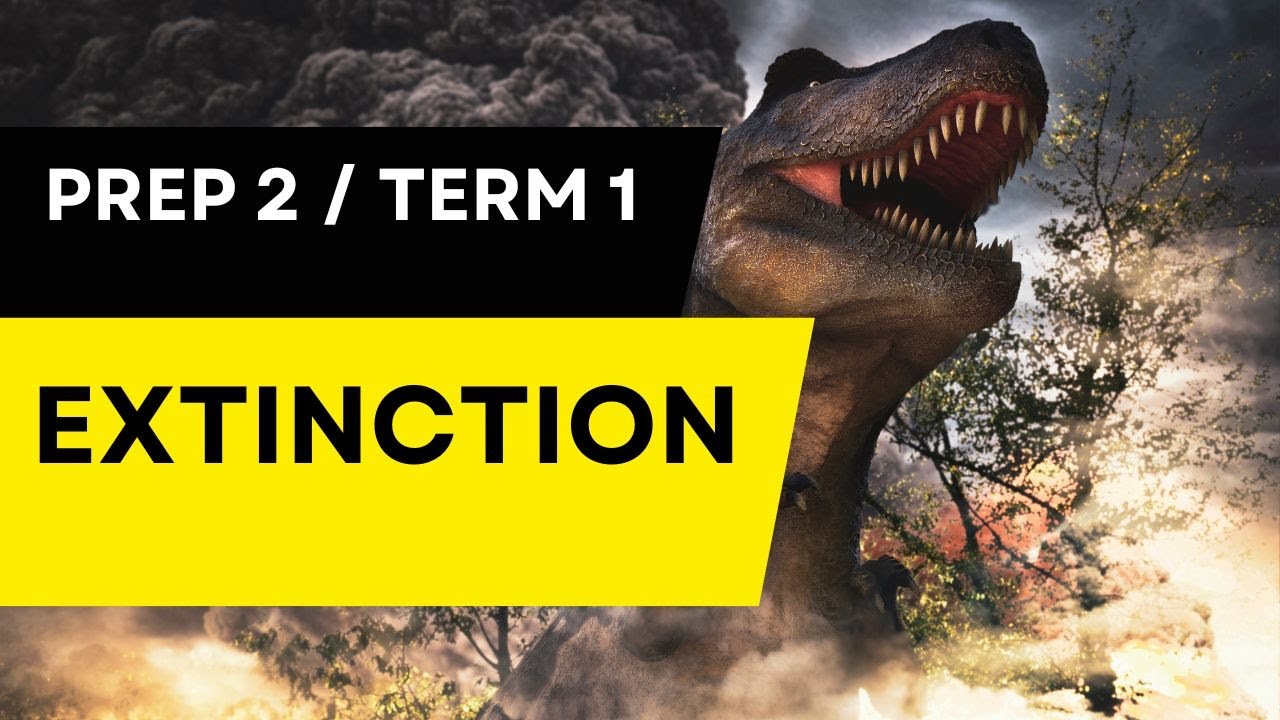 Extinction / Science / Prep 2 / ساينس - YouTube