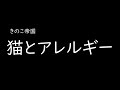 [가사/해석]버섯제국(きのこ帝国)-고양이와 알레르기(猫とアレルギー)