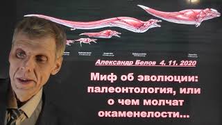 Миф об эволюции: палеонтология. Александр Белов 4 11 2020