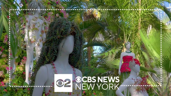 Florals In Fashion On Full Display At Nybg S Orchid Show