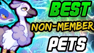 Don't have a membership? Get THESE pets RIGHT NOW!!! | Prodigy Math Game