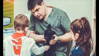 Стажеры ветеринара Стажеры ветеринара