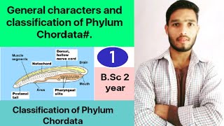 General characters and classification of Phylum Chordata