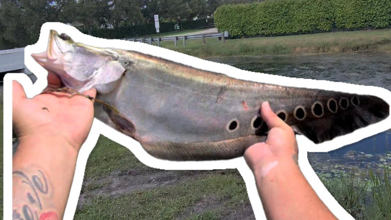 Went Bass Fishing…. Caught something for the first time! Meta Glasses POV