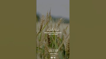 تلاوة من سورة النمل للقارئ إسلام صبحي #quran