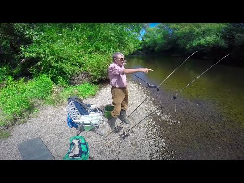 Video: You Have To Pay For Everything - A Case On Fishing