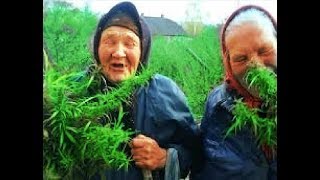 მაგარი პრიკოლი - Lega Lega Lega Lizute -D -D -D