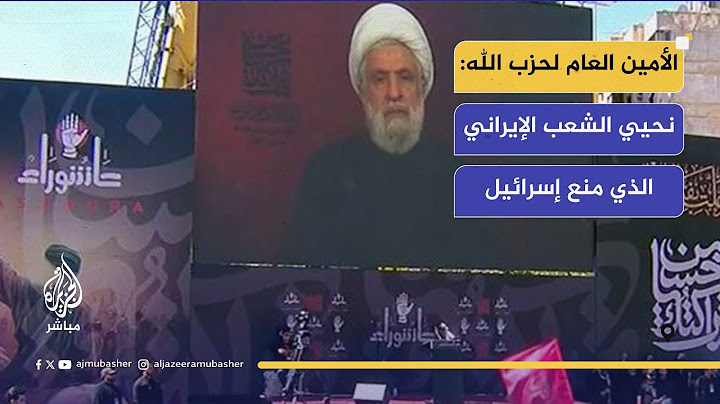 الأمين العام لحزب الله : إسرائيل هي المشكلة وليست المقاومة