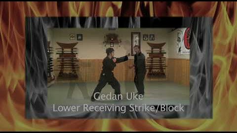 Ninja Training Strikes - DAKENTAIJUTSU - 9TH KYU - Bujinkan Online lesson