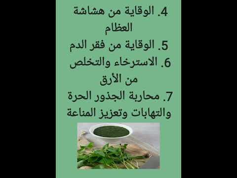 فوائد الملوخية     الصحة صحتي   الملوخيه الملوخية