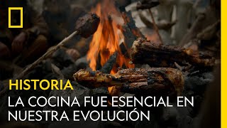 Por qué la cocina fue esencial en nuestra evolución | NATIONAL GEOGRAPHIC ESPAÑA