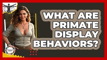What Are Primate Display Behaviors? - Anthropology Insights
