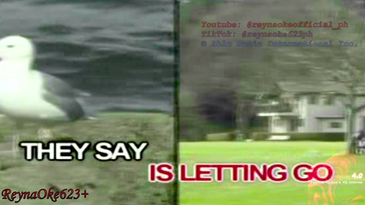 04. Some Good Things Never Last - Barbra Streisand | Ultimate Divas | Able Music