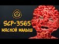 Scp-3565: Мясной Малыш (класс объекта: Евклид, категория: Аномальная еда)