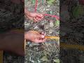 This Knot Locks Tighter the More You Pull 🔥 #knottying #ropetrick #outdoorskills