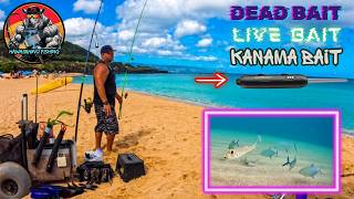 FISHING WAIMEA BAY-DEAD bait, LIVE bait, KANAMA bait