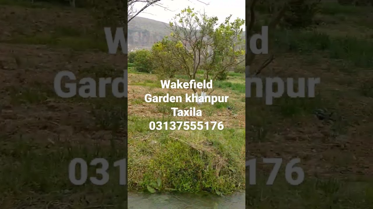 Taxila khanpur real estate Agricultural farm house land master