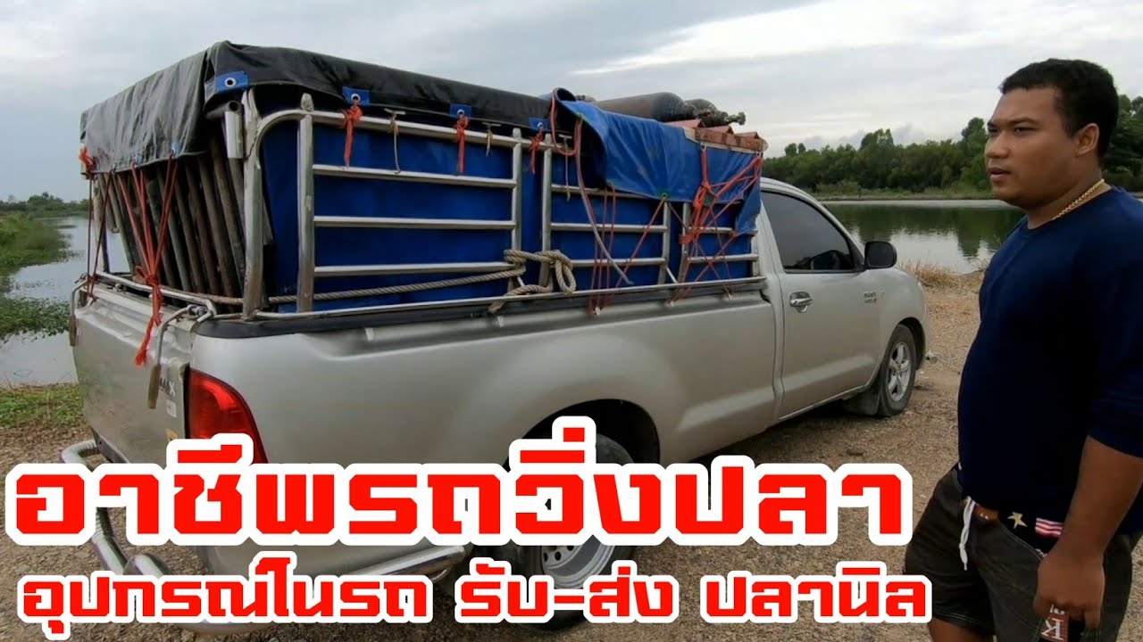 Ep.54 Toyota vigo 3.0 : อาชีพรถอ๊อก รับ-ส่งปลานิล