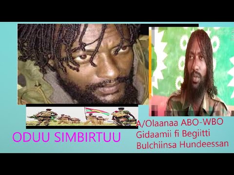 J Marroo Dirribaa A Ol Aanaan ABO WBO Wallaggaa Lixaa Fi Q Wallaggaatti Bilchiinsa Diriirsan 