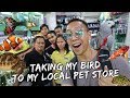 Taking My Bird to My Local Pet Store | Vlog #407