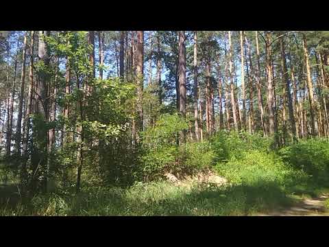 Олександр ОЛЕСЬ КНЯЖА УКРАЇНА Олег