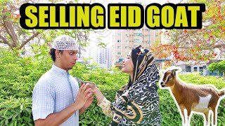 Selling Eid Goat to Woman