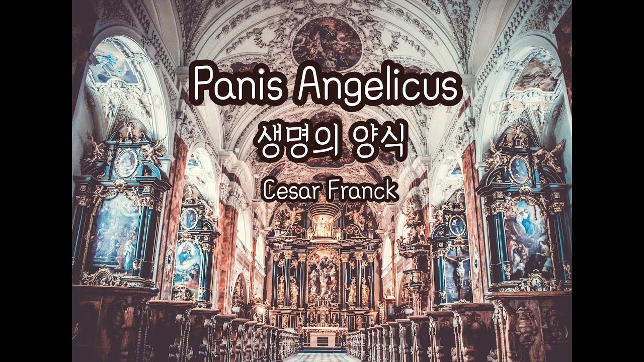Panis Angelicus - César Franck - Cavaillé Coll Organ