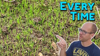 How To Grow Grass From Seed | Complete Guide