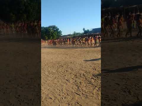Dança no Kuarup, Xingu