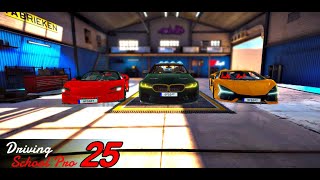 Driving School Pro 25 screenshot 2