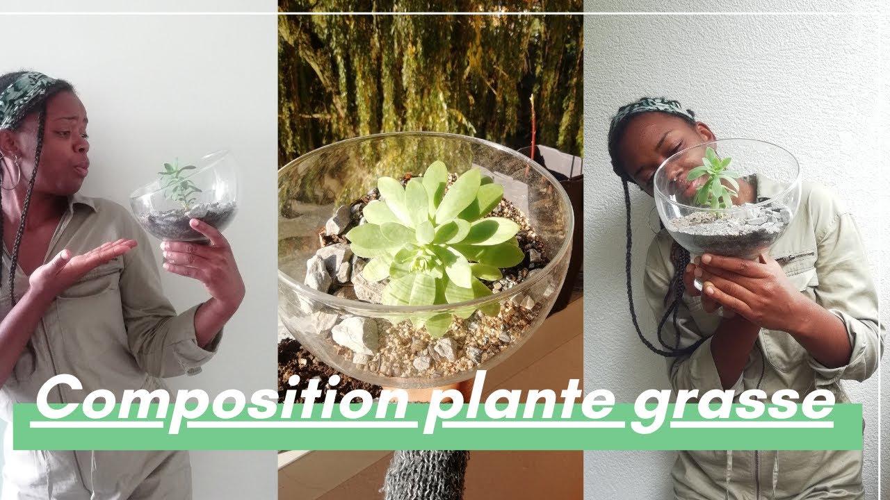 #cactés #succulentes 🌳 Comment faire un #terrarium ouvert ? Composition plante grasse FACILE 🌹