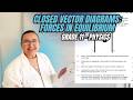 Closed Vector Diagrams: Forces in Equilibrium (Grade 11 Physics)