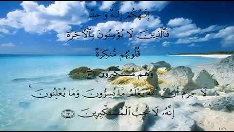 سورة النحل من آية 20 الى 29 ماهر المعيقلي