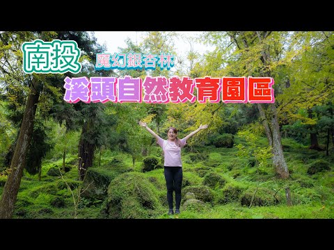 南投鹿谷『溪頭國家森林遊樂區』