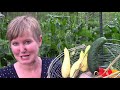 Garden Counting and Tower Building Quiz