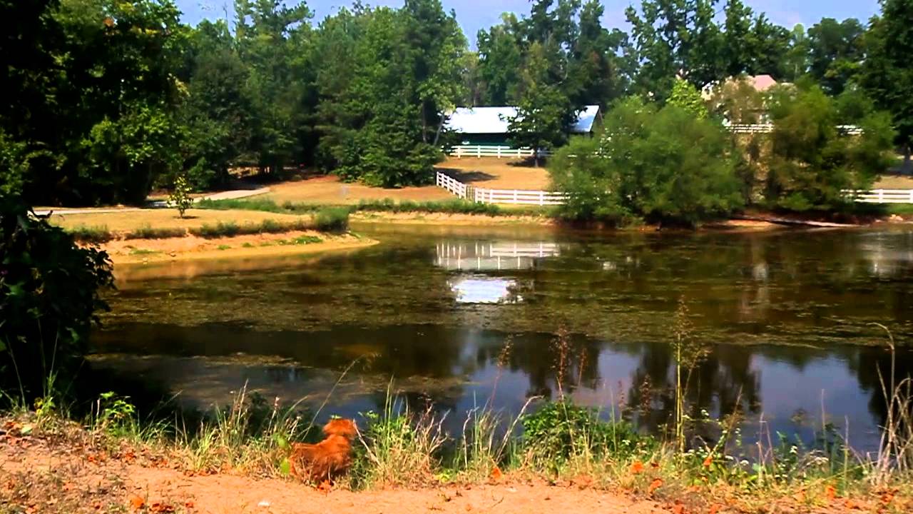 BM 20110902 FlyboyDG 0357