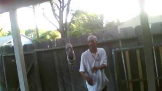 Capture 20090519 8