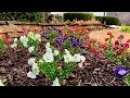 Best UV Resistant Artificial Flowers? Artificial Morning Glory Morning Glory Tall Ferns Patio Yard