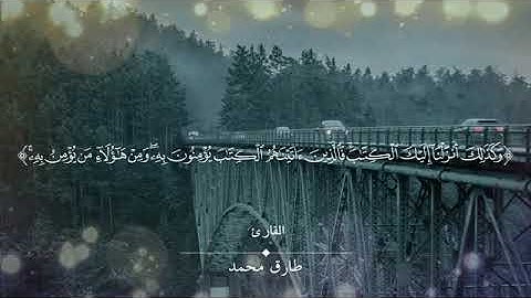 تلاوة يريح بالك من سورة العنكبوت للقارئ طارق محمد 1440