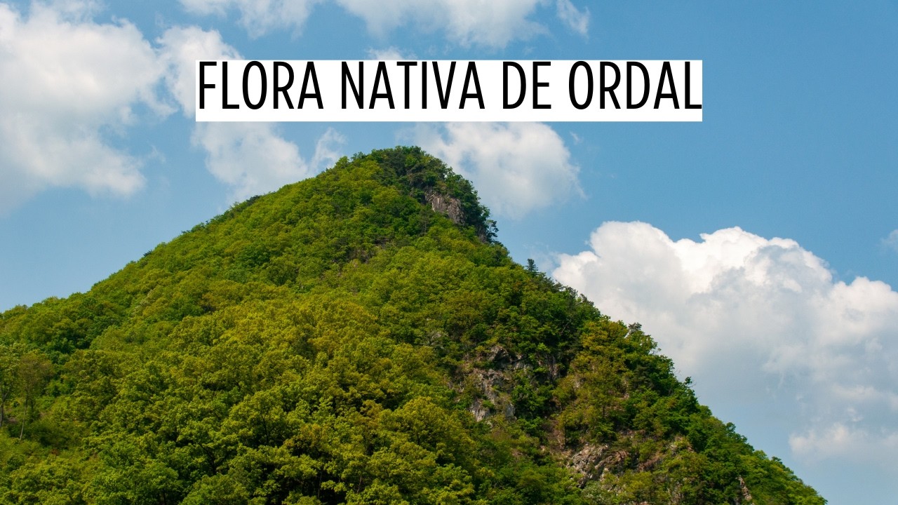 Montañas de Ordal y su Flora Nativa