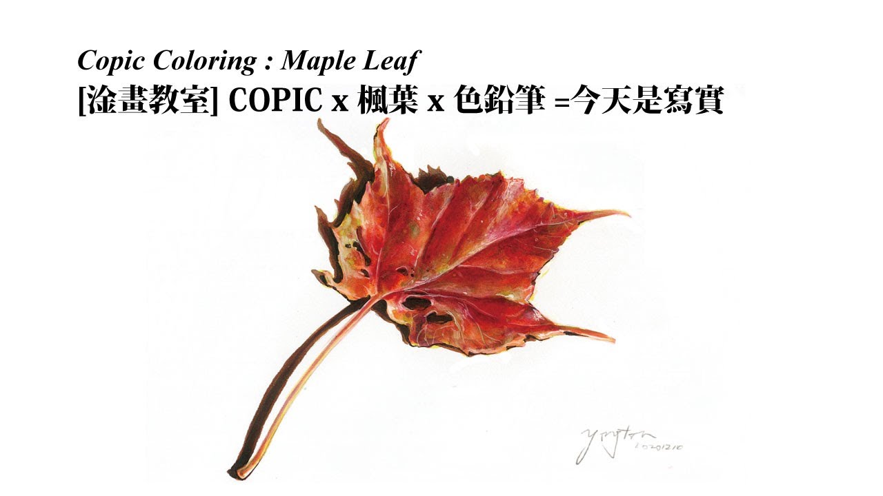 淦畫教室 Copic X 楓葉x 色鉛筆copic Coloring Maple Leaf Youtube