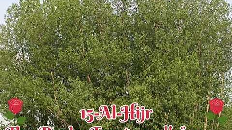 15-Al-Hijr-The-Rocky-Tract-سورة-الحجر