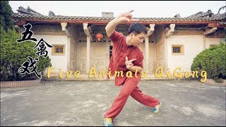 Five Animals QiGong | 14 Days FREE online learning with Master Ping screenshot 5