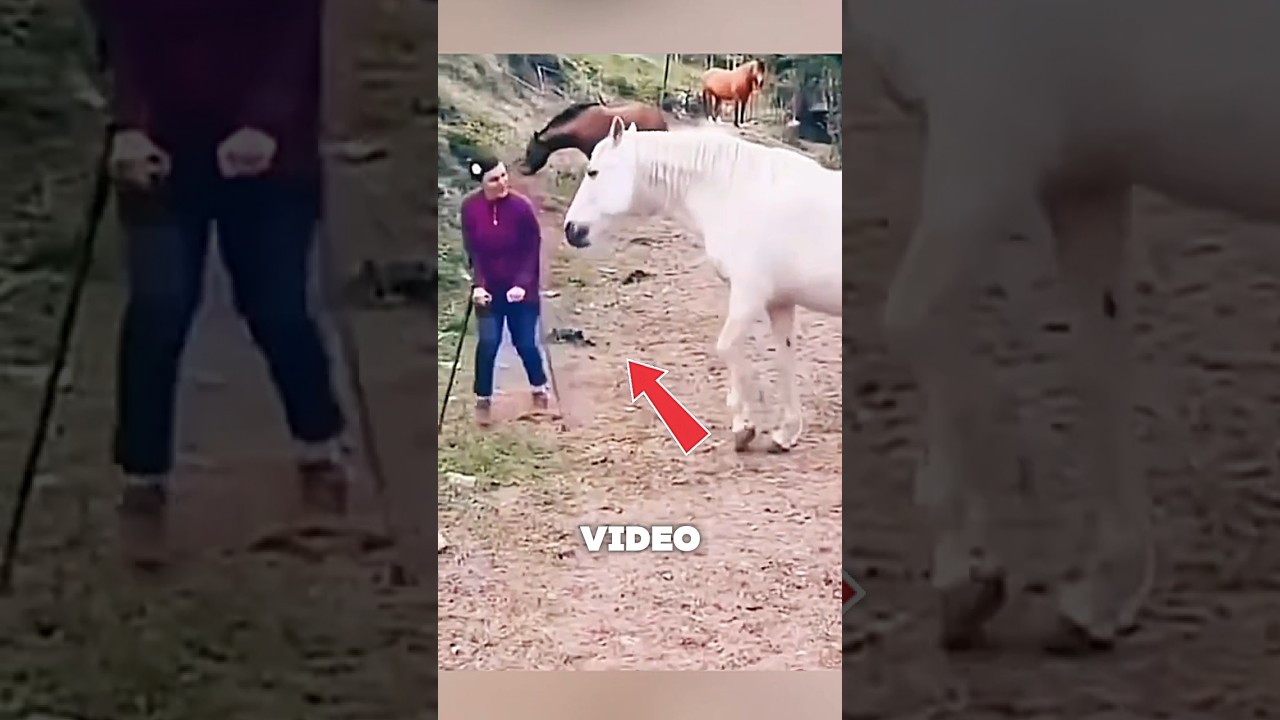 This Horse's Reaction Shocked Everyone! 😲🐴 #horse
