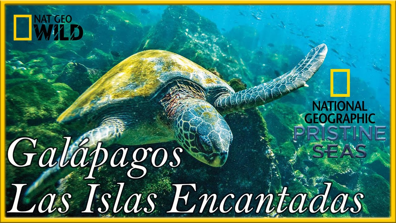 Galápagos Las Islas Encantadas [Ecuador][Parte 2]Documental NAT GEO HD ...