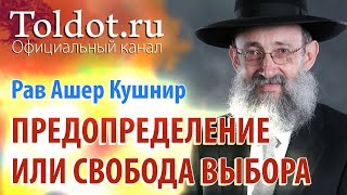 Рав Ашер Кушнир. Предопределение или свобода выбора. Обязанности сердец 54